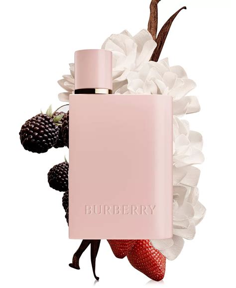 burberry elixir fragrantica